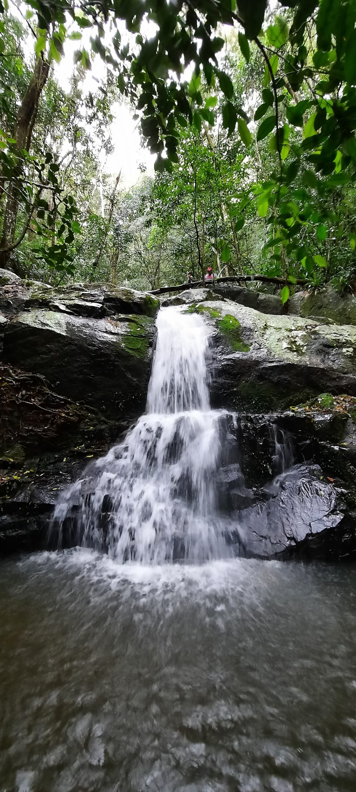 Vídeo Tour Ecológico 🌱🌿💚 Apenas um click