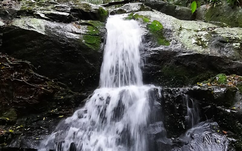Dia Mundial da Água