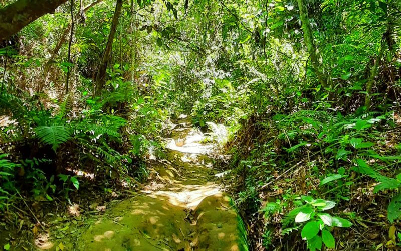 Novidade no BLOG: Conduta Consciente