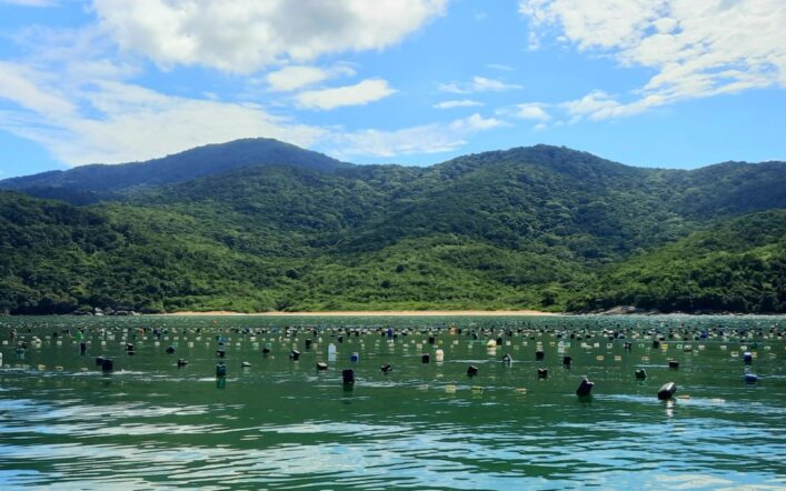 Fazendas de Ostra e Marisco – Maricultura