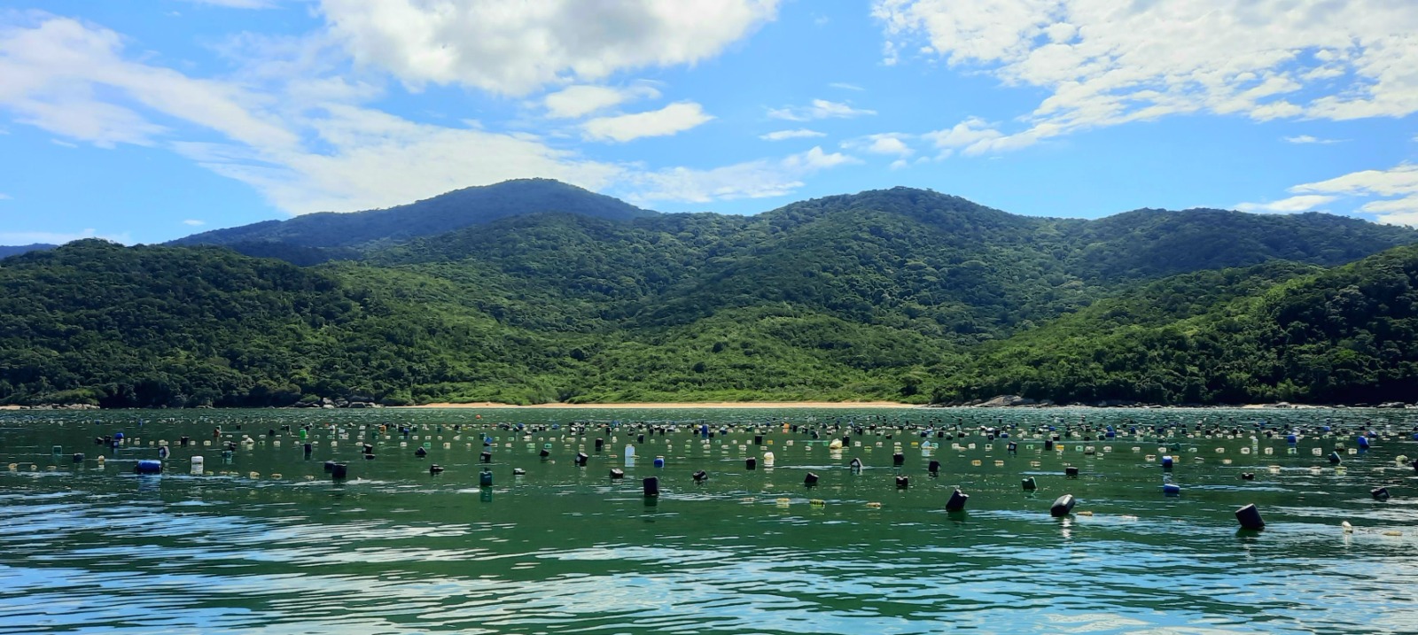 Fazendas de Ostra e Marisco – Maricultura