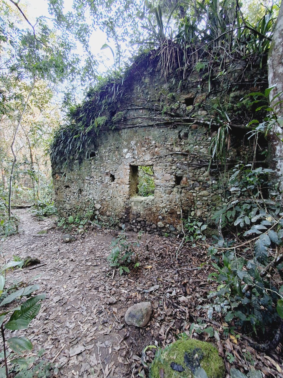 “Farinhada”,  Ruína da Lagoa. Você  sabe o que é? Já visitou?