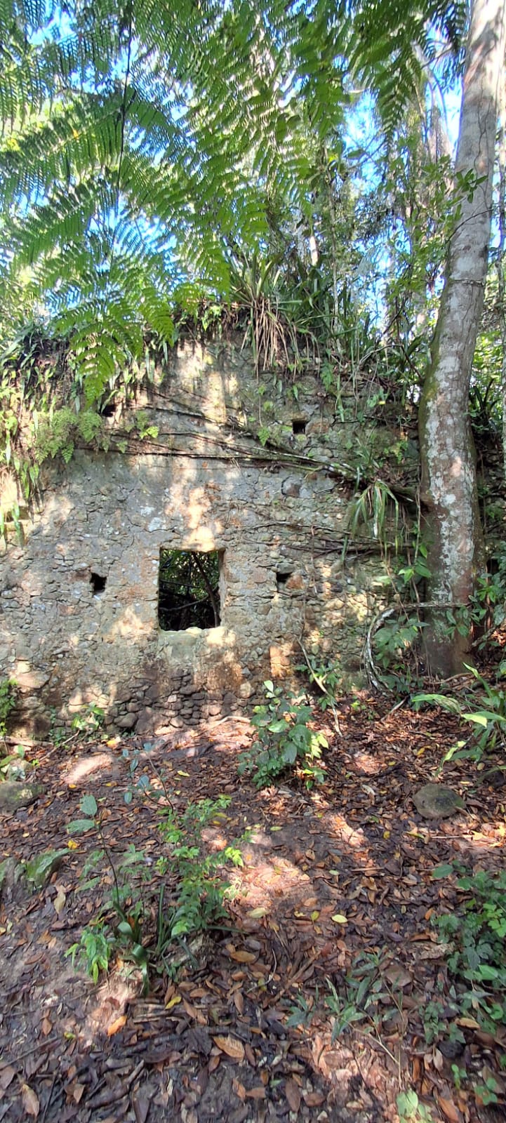 Praia da Lagoa: história, natureza e lembranças da Costeira de Zimbros