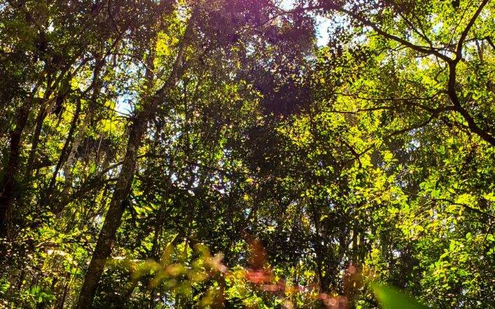 Tour Ecológico: 10 praias desertas