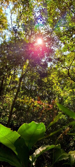 Tour Ecológico: 10 praias desertas