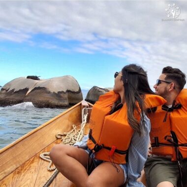 Passeio com Avistamento de Leões Marinhos