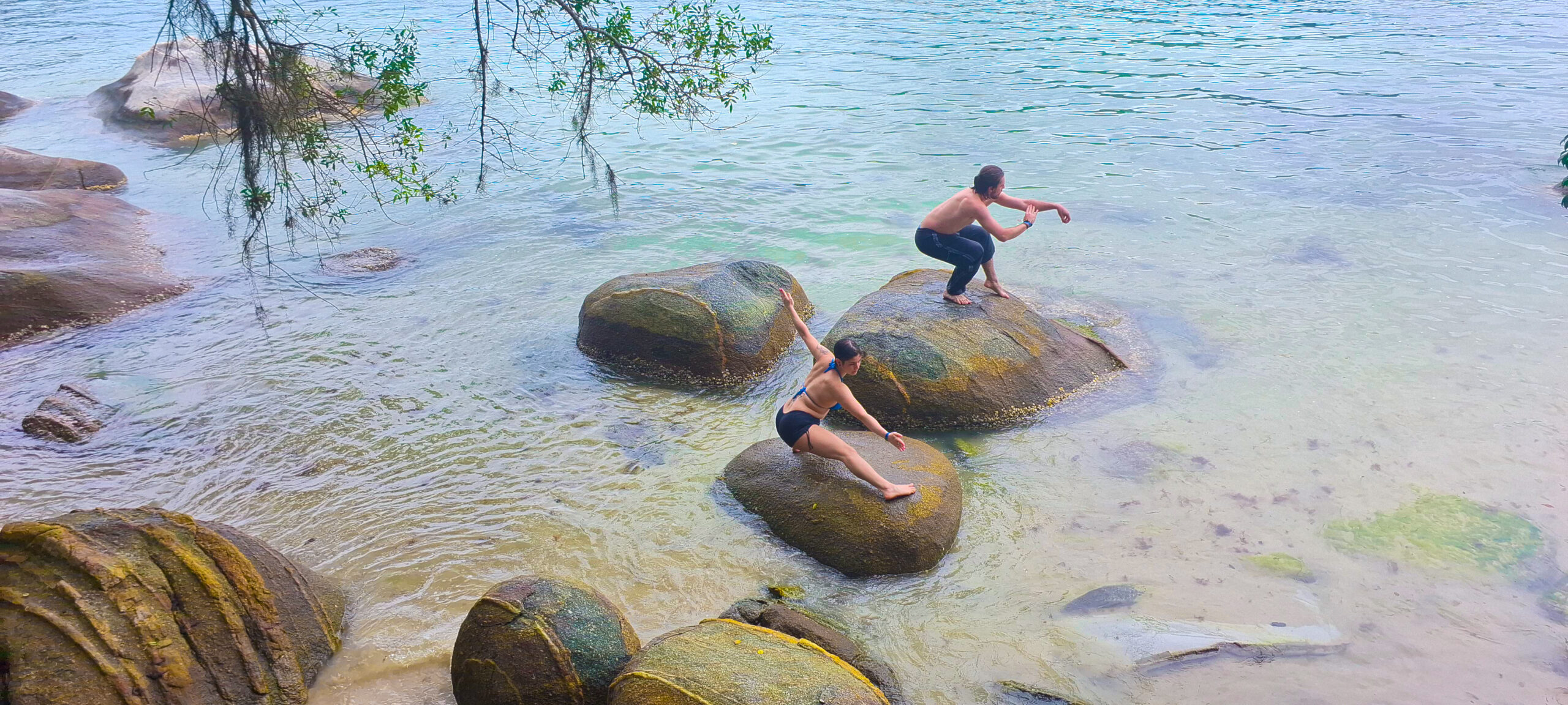 Tour Ecológico na Ilha de Porto Belo