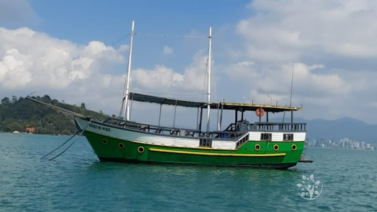 Passeio de Escuna: Ilha de Porto Belo × Bombinhas x Sepultura