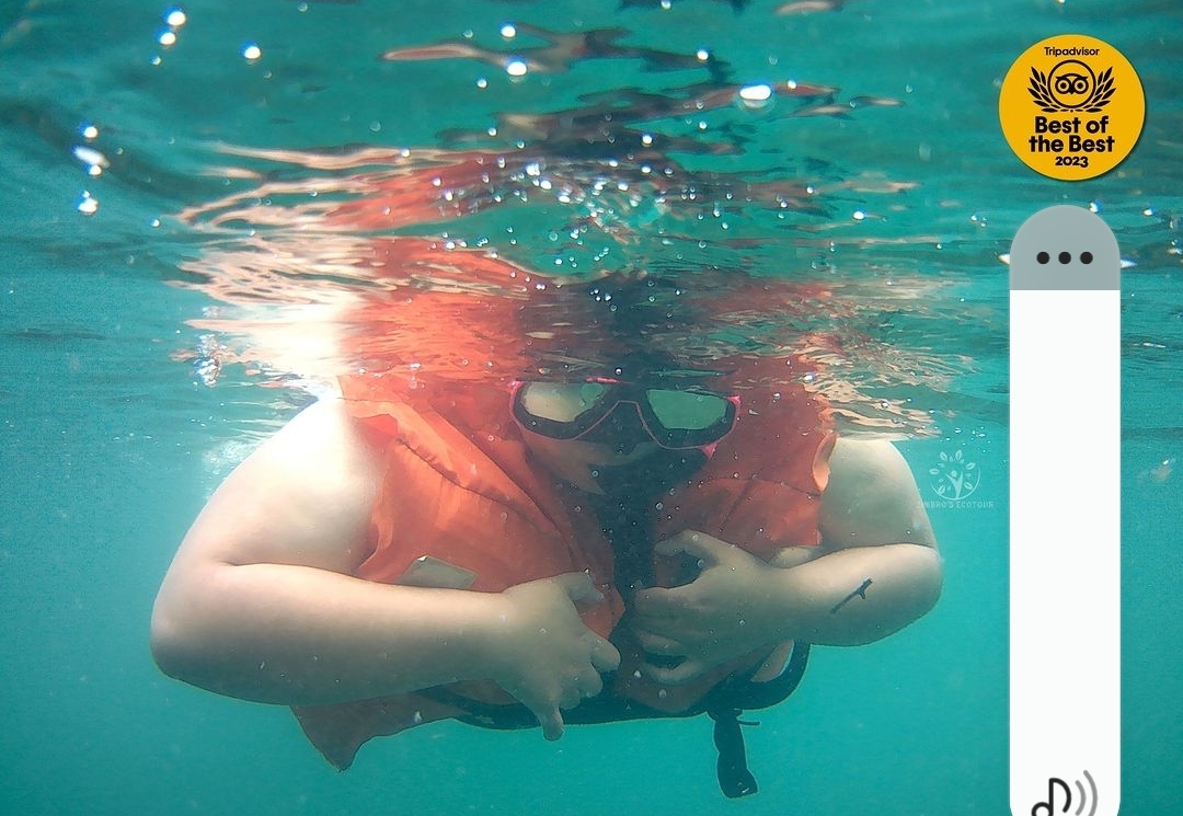 Snorkel na Ilha do macuco está voltando