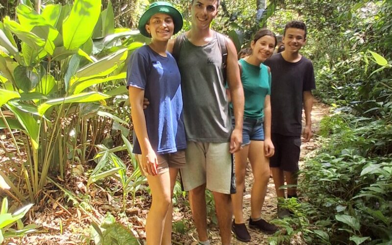 17 de julho: Dia de Proteção às Florestas