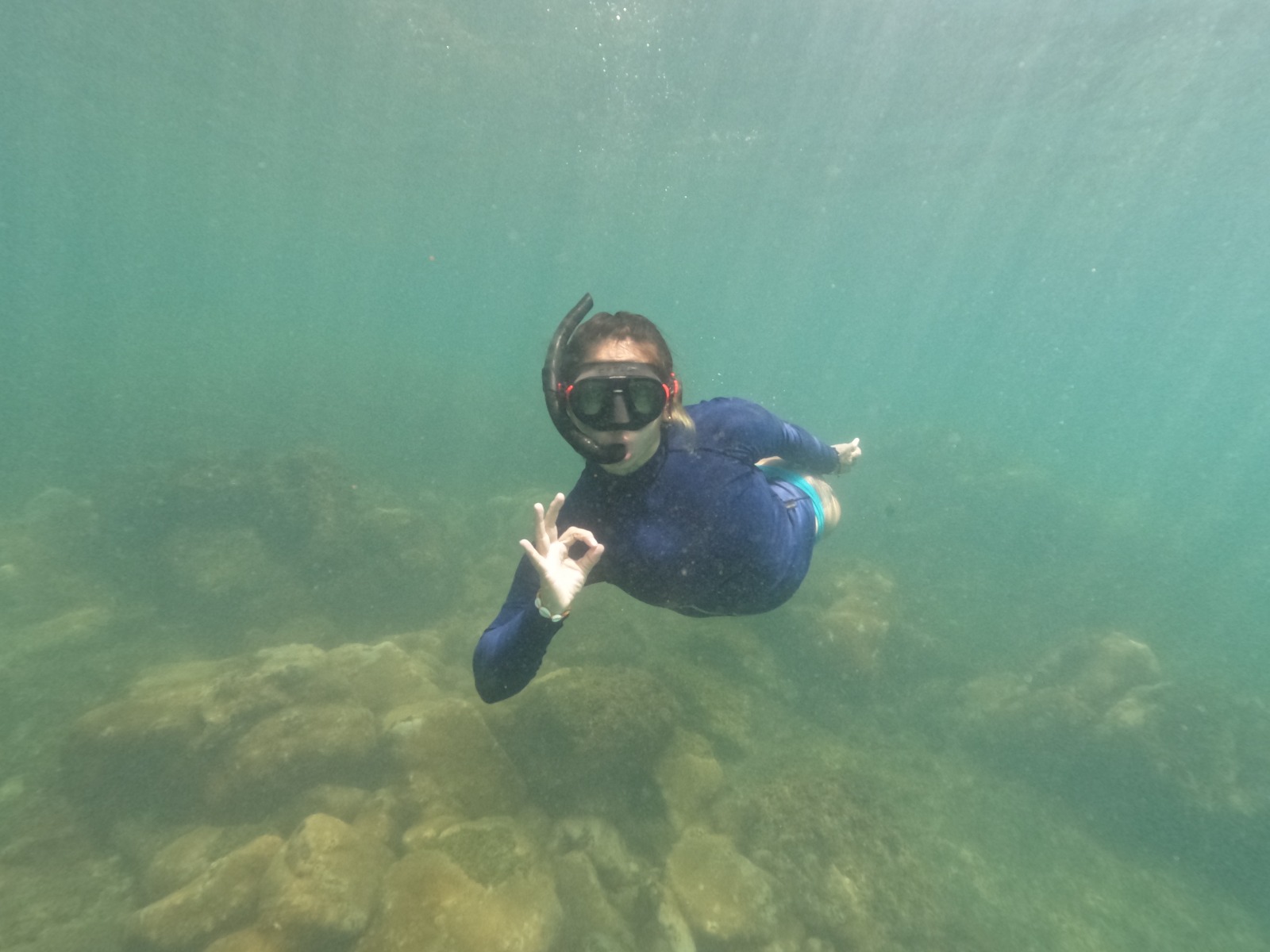 Snorkel na Ilha do Macuco reserve a sua vaga