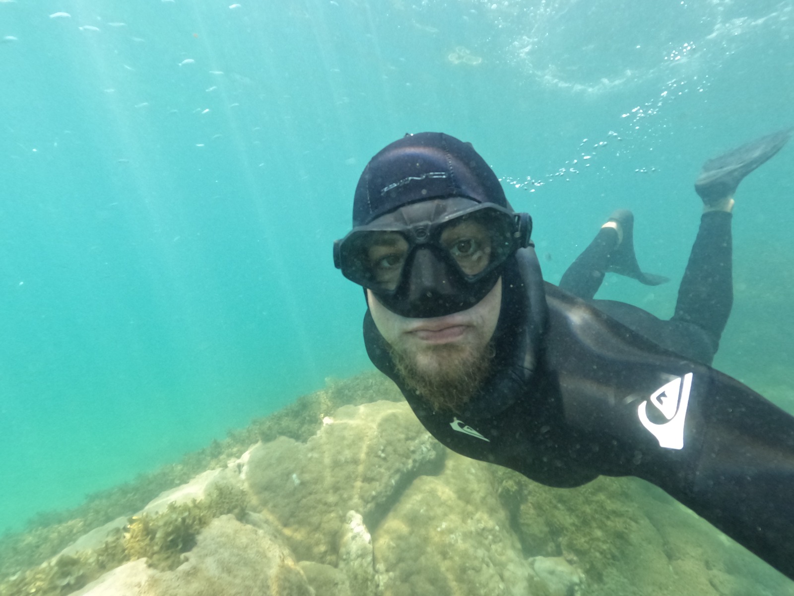 Snorkel na ilha do macuco !!! viva essa experiência