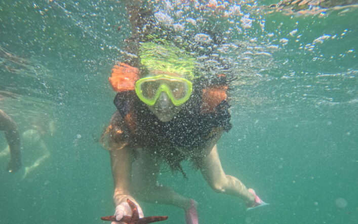 Estrelas-do-mar e ouriços: pequenos guardiões do equilíbrio marinho da Ilha do Macuco