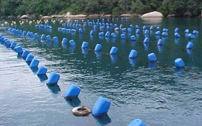 Cultivo de mariscos em Bombinhas