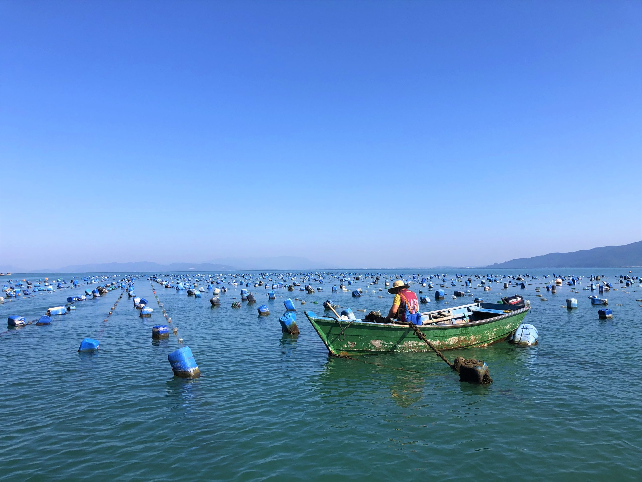 Maricultura em Bombinhas: Quando o Turismo Apoia Quem Vive do Mar (vídeo)