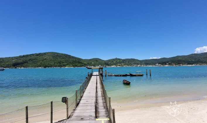 Tour Ecológico Ilha de Porto Belo
