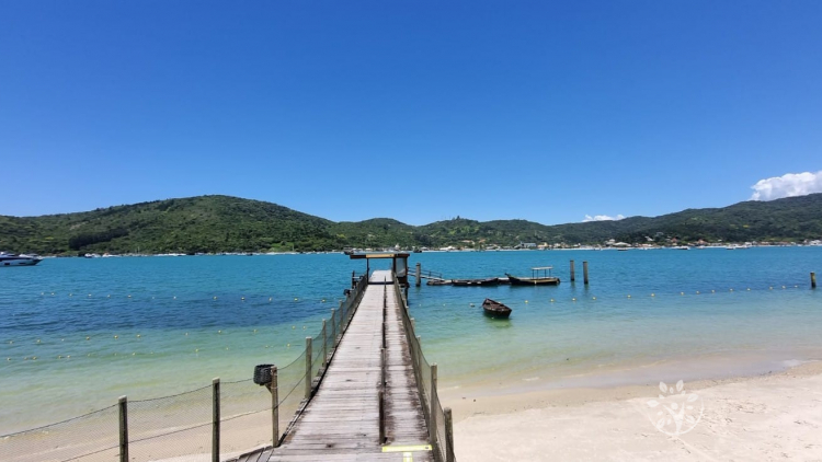 🌿 Tour Guiado na Ilha de Porto Belo – Trilha Ecológica de Inverno