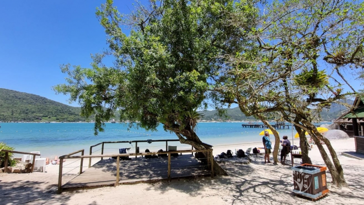 ILHA DE PORTO BELO + PRAIA DO CAIXA D’AÇO