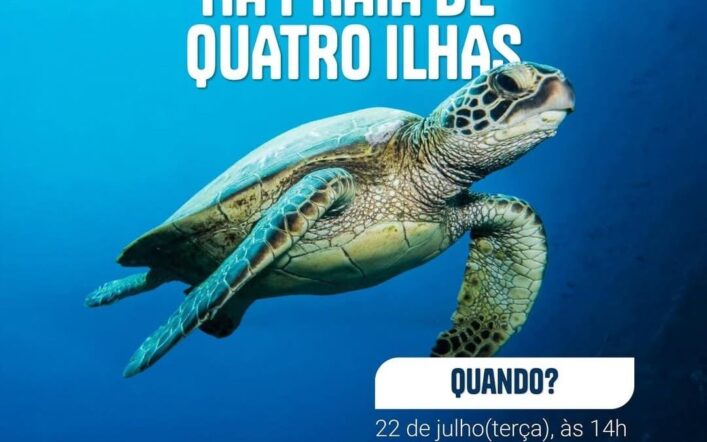 Soltura de tartaruga – Praia de Quatro Ilhas