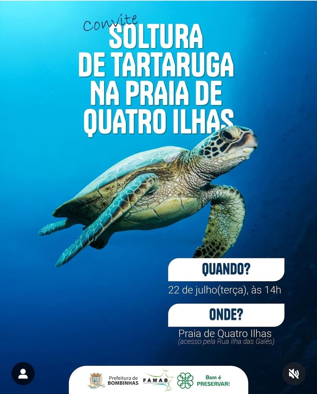 Soltura de tartaruga – Praia de Quatro Ilhas