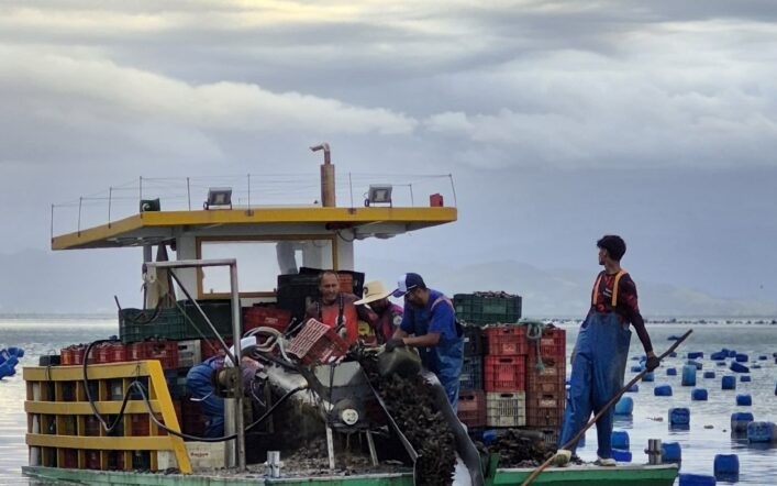 🌊 As Fazendas de Marisco de Bombinhas: Tradição, Sustentabilidade e Cultura Viva no Caminho do Mar