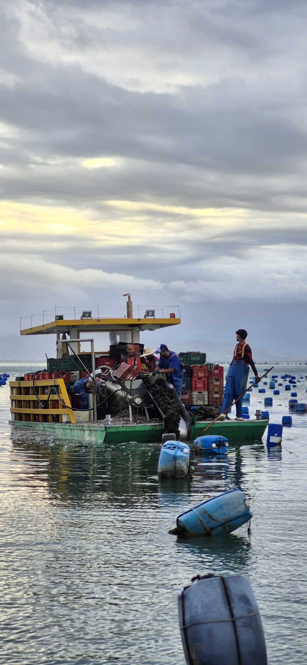 🌊 As Fazendas de Marisco de Bombinhas: Tradição, Sustentabilidade e Cultura Viva no Caminho do Mar