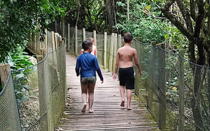 Tour Ecológico Ilha de Porto Belo