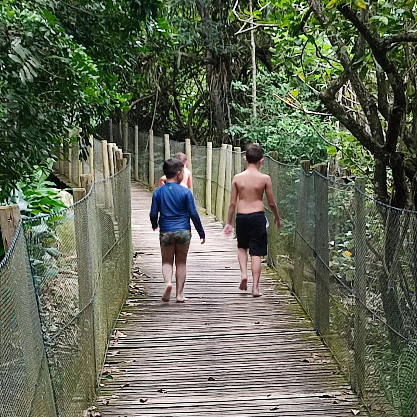 Tour Ecológico Ilha de Porto Belo