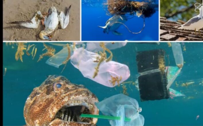 O fluxo linear do lixo no mar: um caminho sem volta que ameaça nossos oceanos