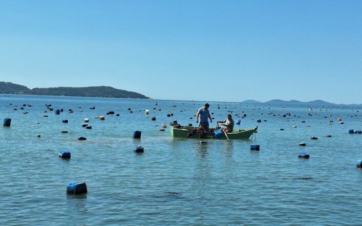 Maricultura em Bombinhas: Cultura e Sustento