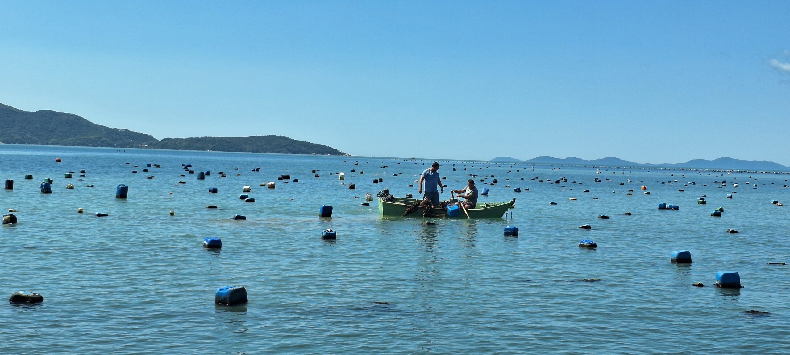 Maricultura em Bombinhas: Cultura e Sustento