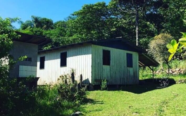 A História do Sr. Hermínio, O Primeiro Professor de Zimbros