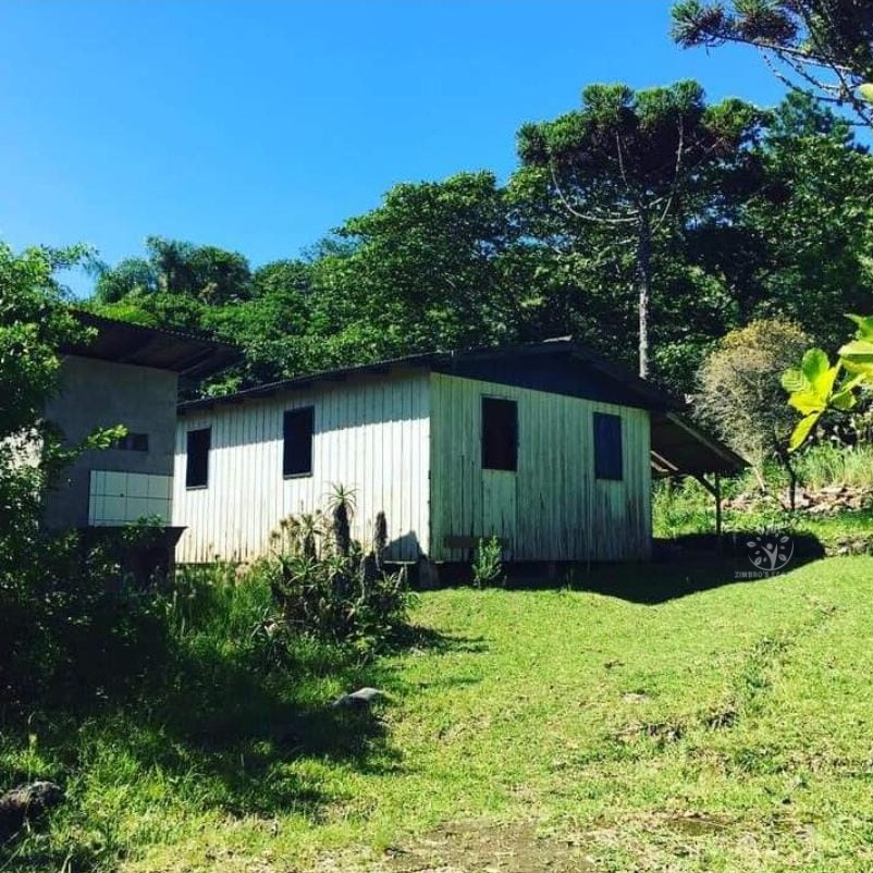 A História do Sr. Hermínio, O Primeiro Professor de Zimbros