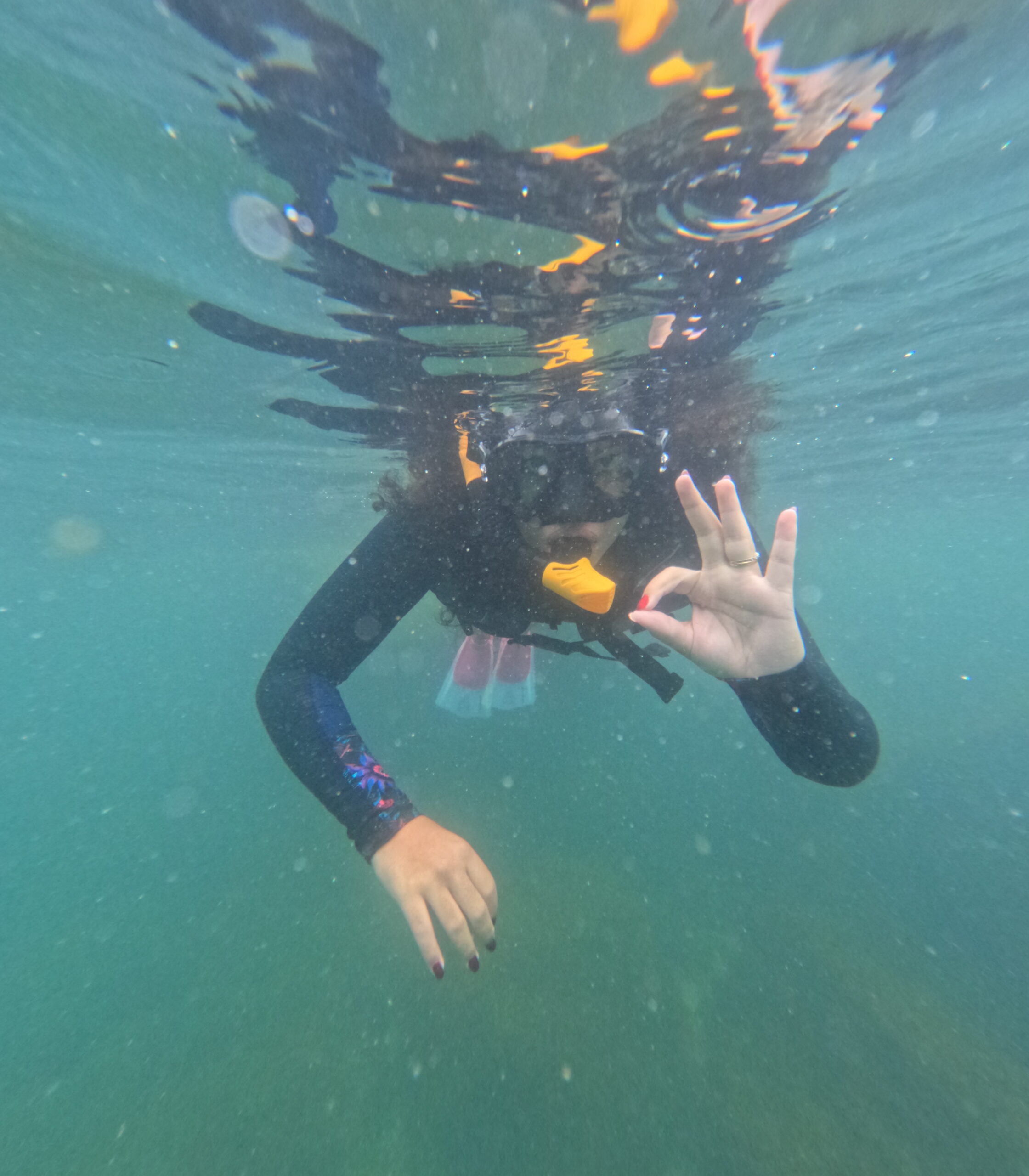 O que fazer em 5 dias em Bombinhas com a Zimbros Ecotour